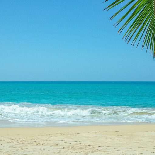 Отдых на Шри-Ланке