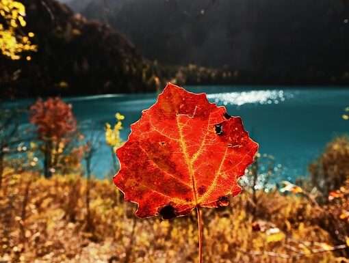 Отдых в несезон