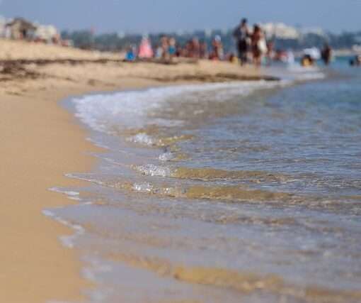 Чартерная программа в Тунис