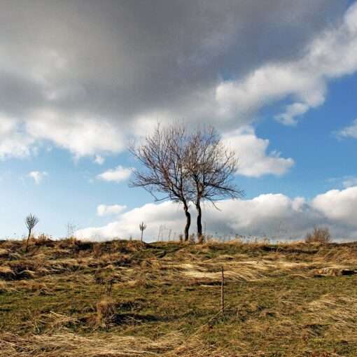 Обман туристов на Airbnb