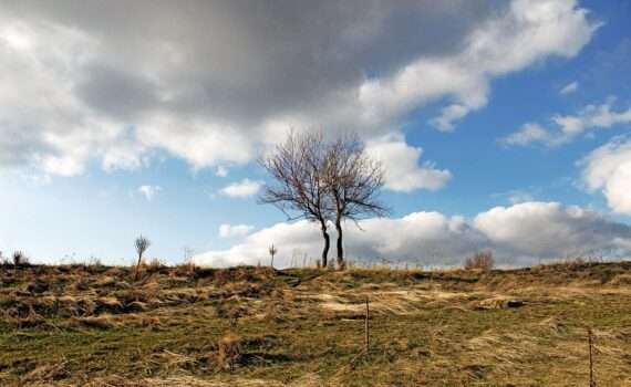 Обман туристов на Airbnb