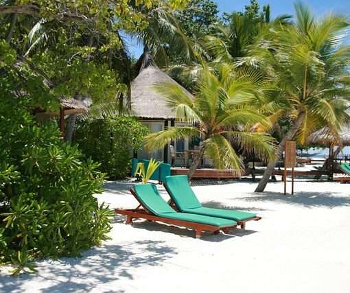 Битва за лежаки