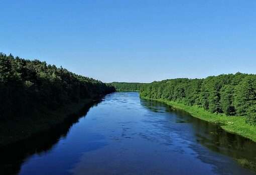 Поддержка предпринимательства в сфере туризма