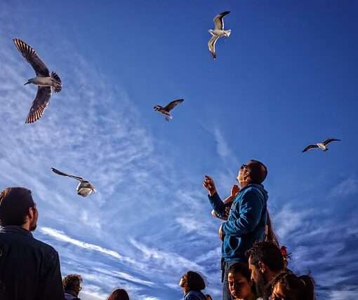 Запрет на продажу туров