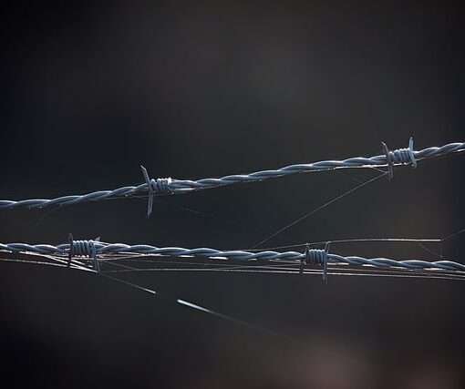 На белорусско-украинской границе