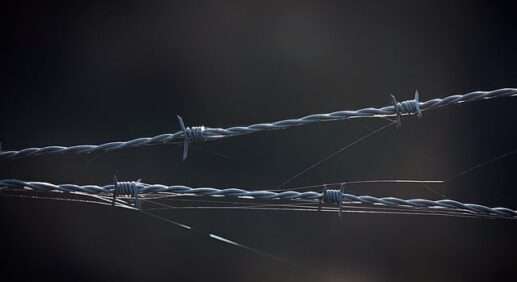 На белорусско-украинской границе