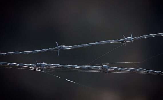 На белорусско-украинской границе