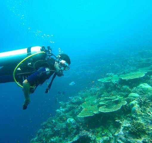 Уход CMAS и IANTD из России