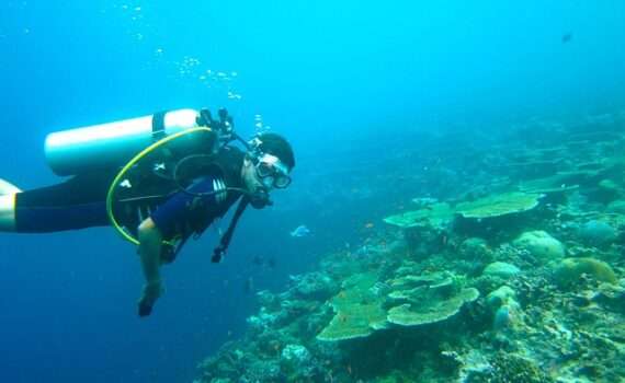 Уход CMAS и IANTD из России