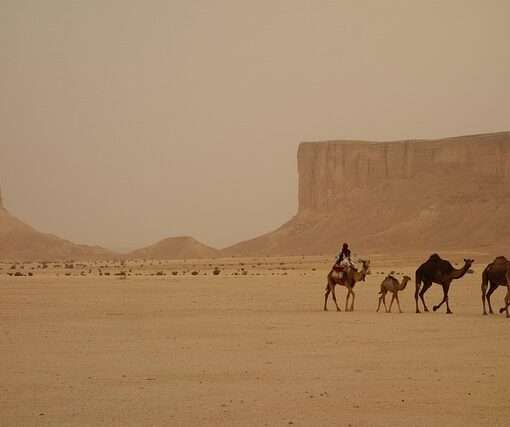 Визы в Саудовскую Аравию