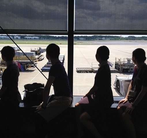 Сколько платят в российских авиакомпаниях за простой