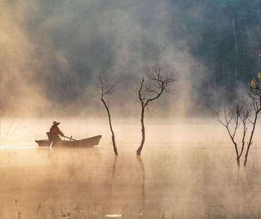 Безвизовый въезд во Вьетнам