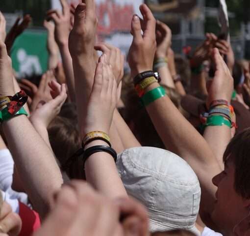 Александрия собирает друзей