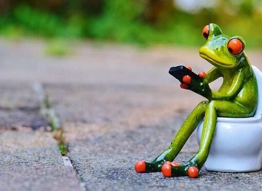 туалеты для туристов в России