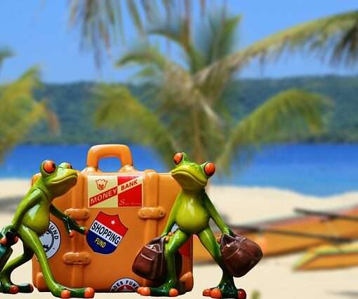 Багаж детей и младенцев