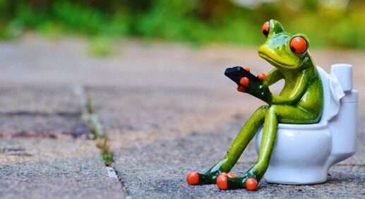 Очередь в общественный туалет в Териберке