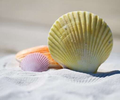 Безвизовые страны для белорусов