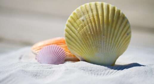 Безвизовые страны для белорусов