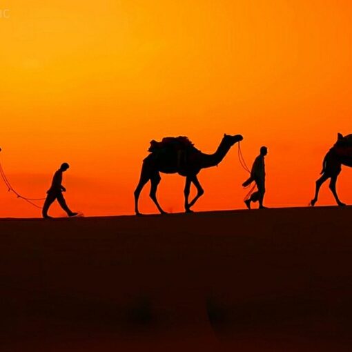 Беспосадочный рейс в Египет из Минска