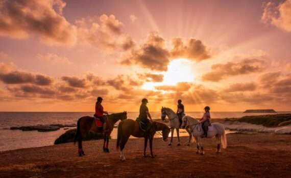 Клуб верховой езды George’s Horse Ranch
