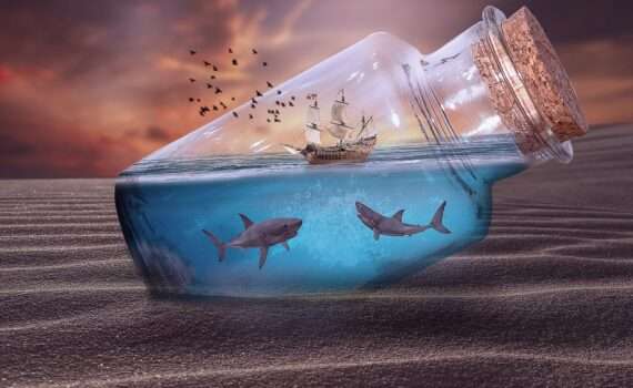 Акулы атаковали катамаран кругосветной экспедиции