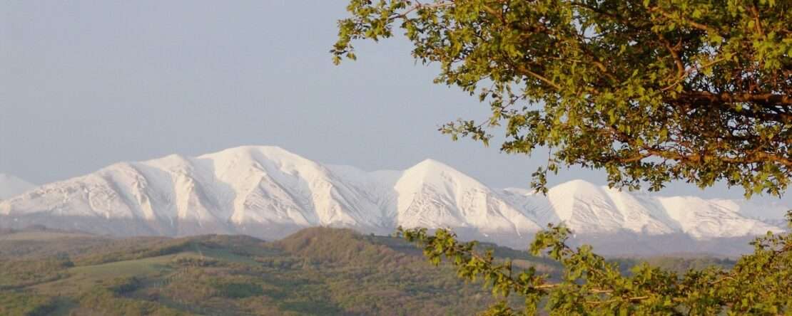 Рейсы в Махачкалу из Минска