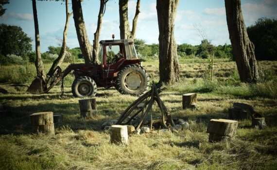 Размер налога на агроусадьбу в 2024 году