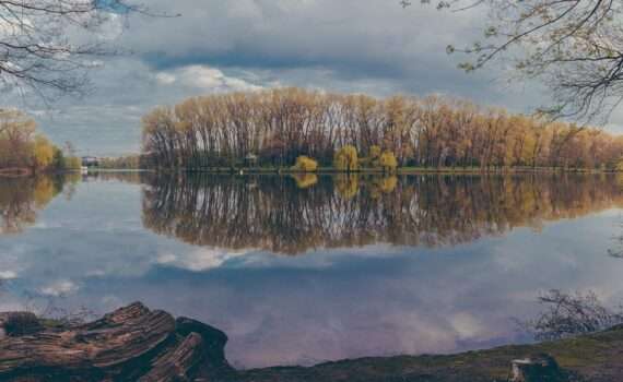 Туристов из Мальдив привлекают в Беларусь