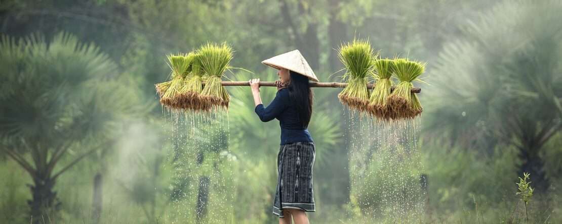 Во Вьетнам без визы