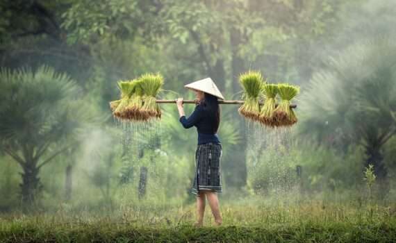 Во Вьетнам без визы