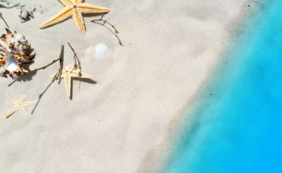 ИП могут заниматься турагентской деятельностью