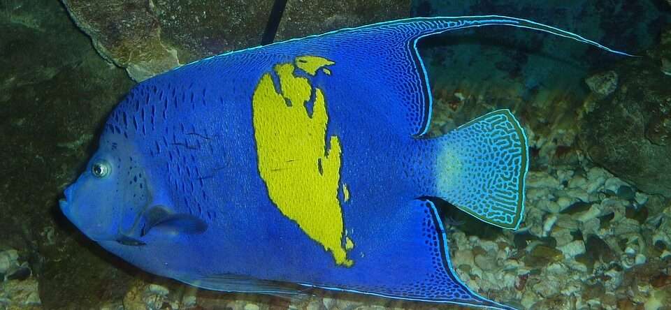 Египет зимой