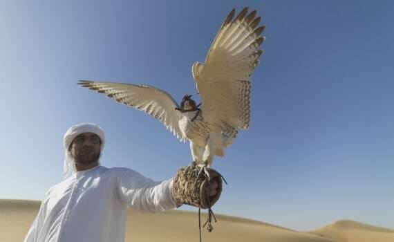 об отдыхе в Рас-эль-Хайме