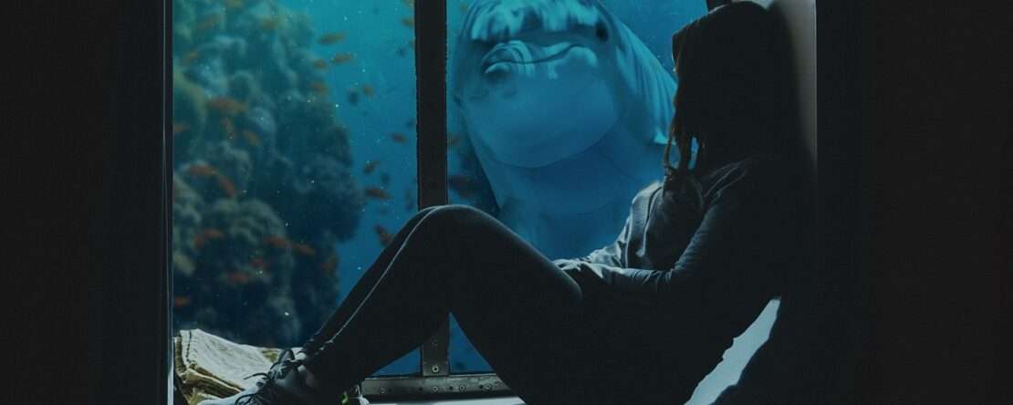 в Египте затонул прогулочный батискаф