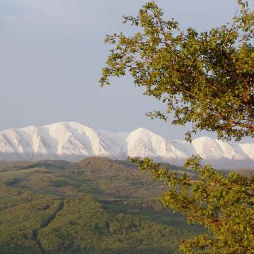 Авиатуры в Дагестан из Минска