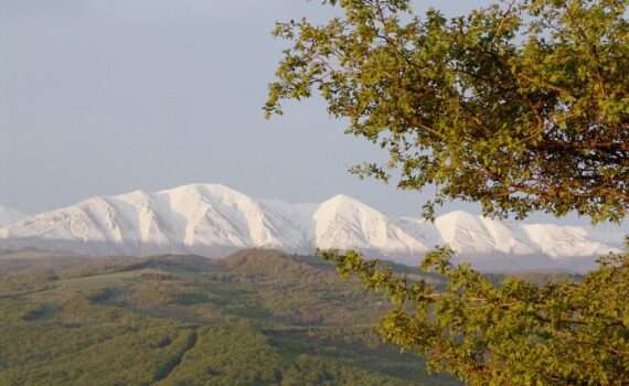 Авиатуры в Дагестан из Минска