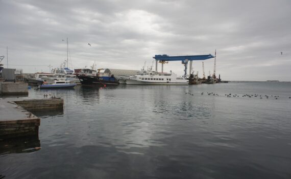 Выбросы мазута на пляжах в Анапе