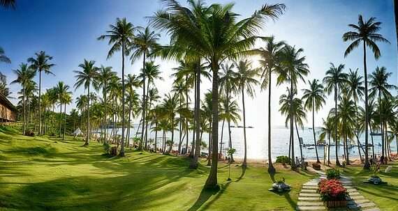 Чартерные рейсы во Вьетнам из Минска