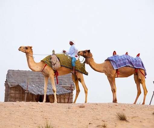 Вывозные рейсы из ОАЭ в Минск