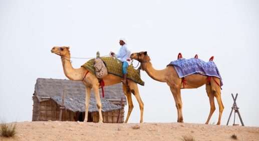 Вывозные рейсы из ОАЭ в Минск