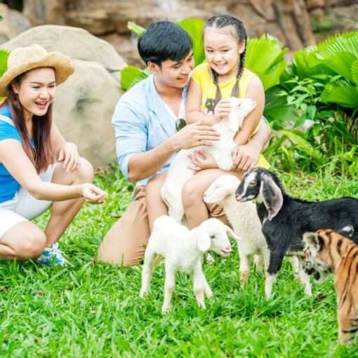 Из Минска на Фукуок