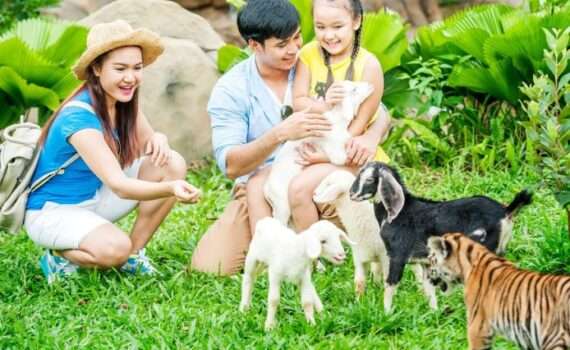 Из Минска на Фукуок