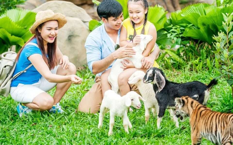 Из Минска на Фукуок