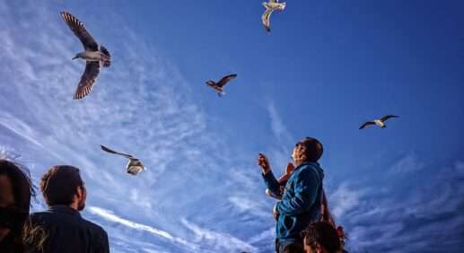 Туристическая выставка Отдых в Минске