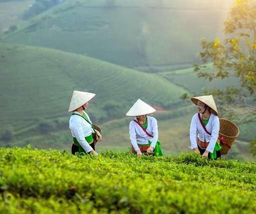 Отмена рейсов в Дананг из Минска