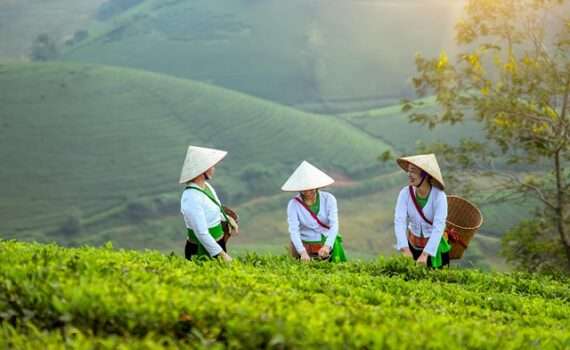 Отмена рейсов в Дананг из Минска