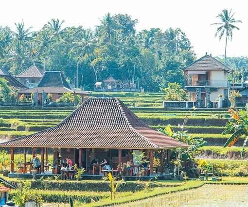 На Бали ликвидировали «русские деревни»