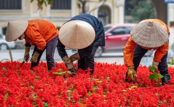 Цифровая карта прибытия во Вьетнаме