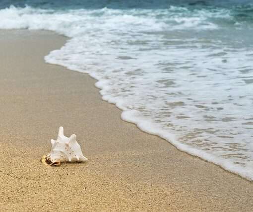 туризм одна из ключевых отраслей мировой экономики