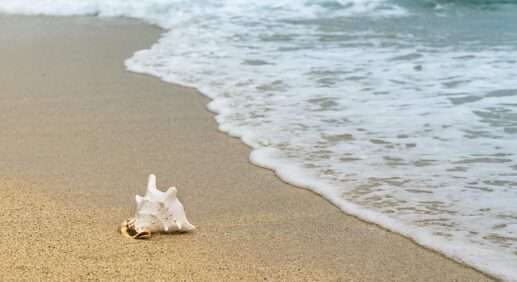 туризм одна из ключевых отраслей мировой экономики